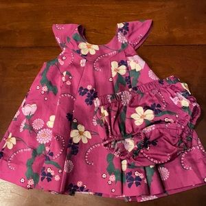 Tea collection baby floral dress